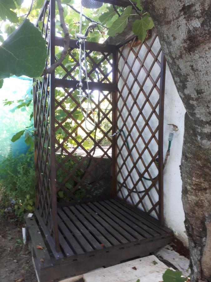 Quinta Do Serrado De Belmonte Belmonte  Exteriör bild